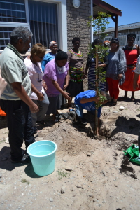 World Fisheries Day- tree planting ceremony