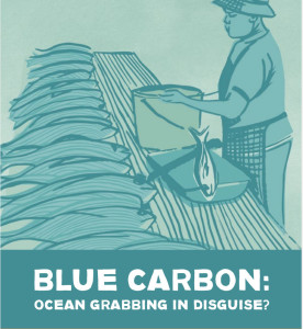 blue_carbon_report