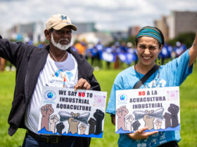 Strong Image by Fellipe Abreu