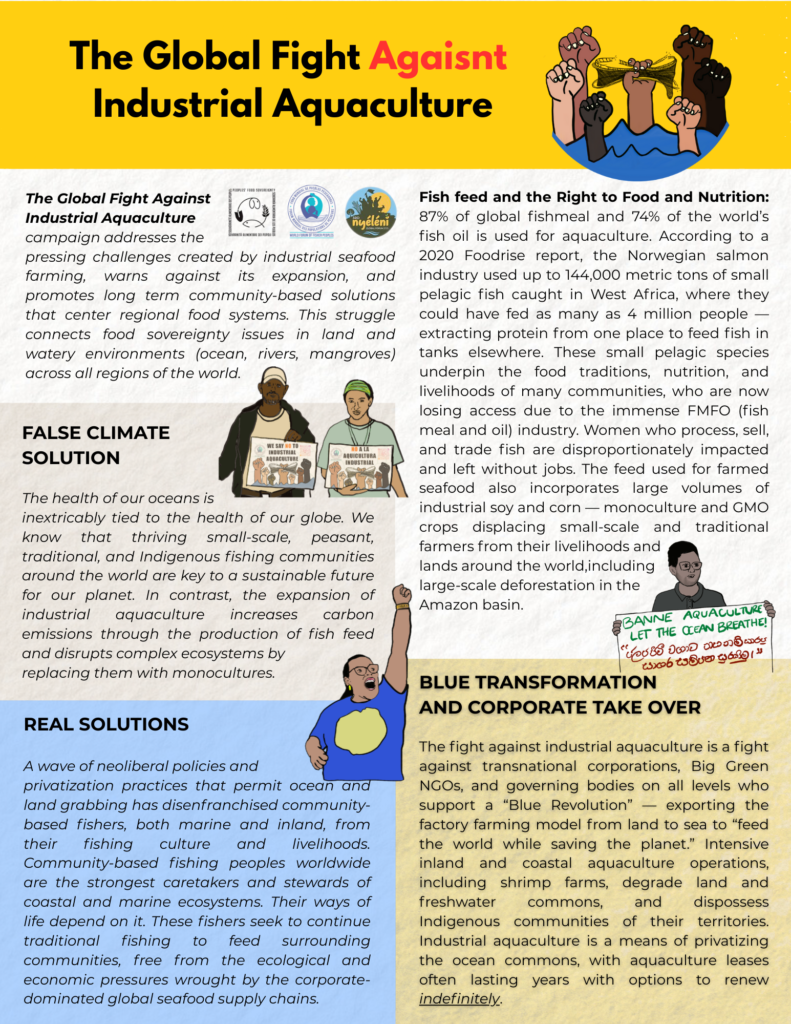 The Global Fight Against Industrial Aquaculture